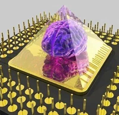 1589448663181084332.jpg